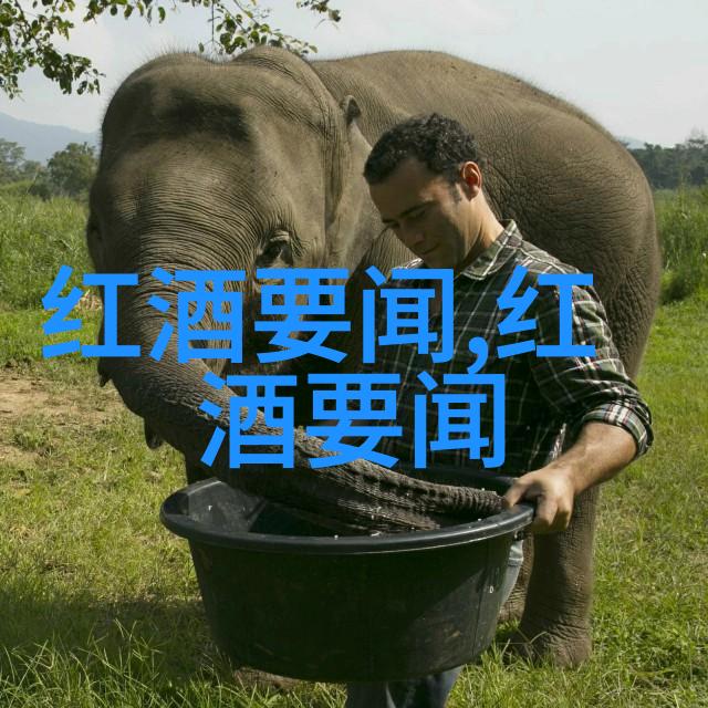 抗日十大英雄的边水往事揭秘他们的结局之谜