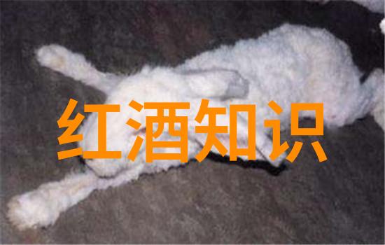 黄淮海粮食主产区我们的生命之源