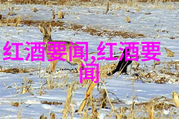 探寻源头跟随传统工匠学习制作山东特色早酒技艺