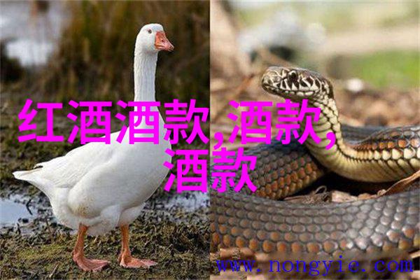 现代英雄人物有谁探索时代的光芒