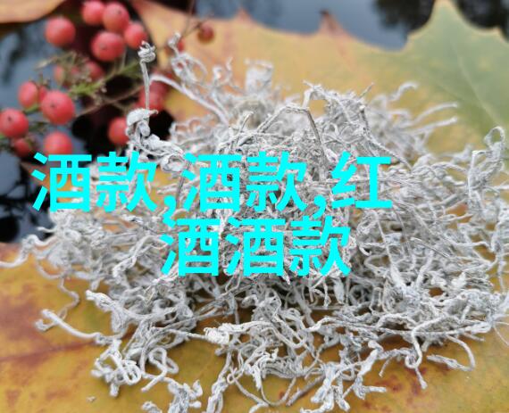 你叫的再大声-响彻云霄探索极致喊叫的艺术与科学