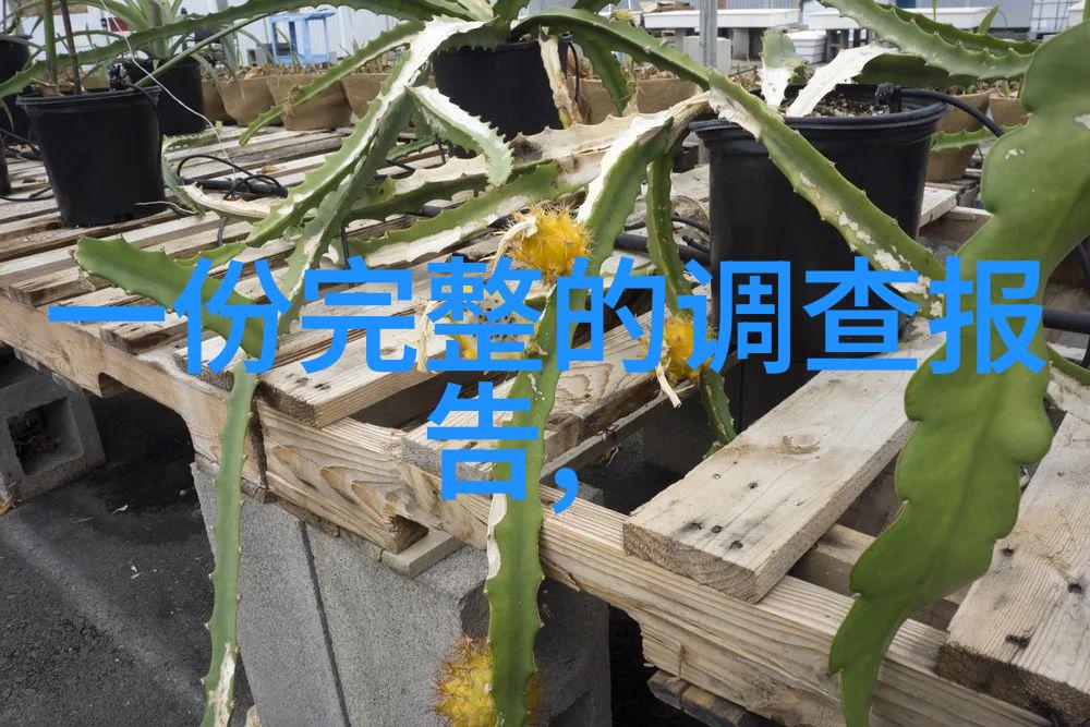 豪华居所中国奢华顶级别墅的巅峰之作