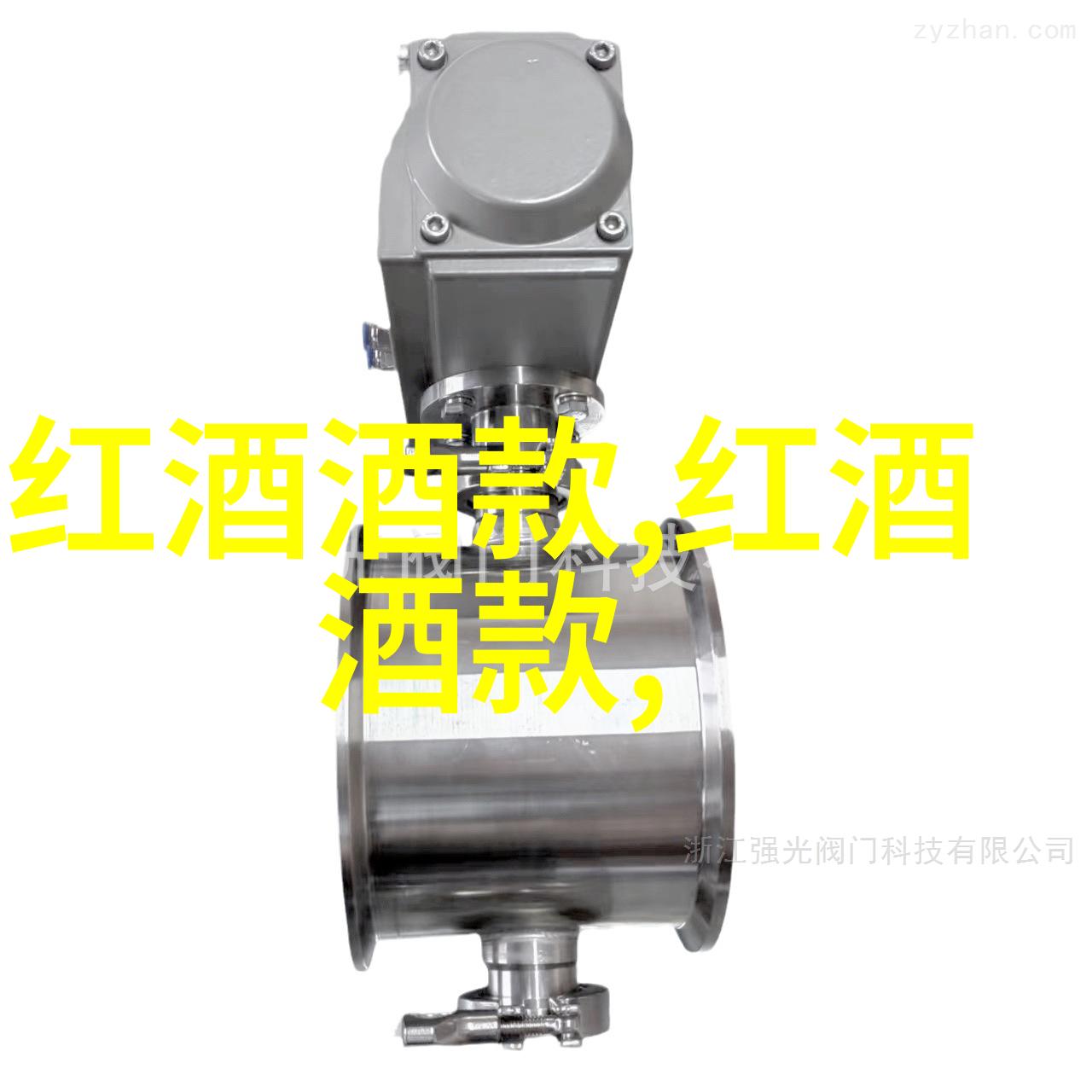 爱藏钱币查询揭秘古钱宝藏的搜寻艺术