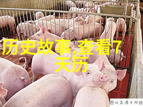 黄淮海粮食主产区中国农业的丰饶宝地