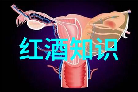 古老传统与现代创新比较传统和改良后的玉米品种图集