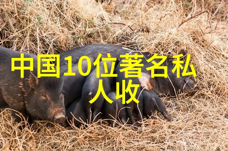 上海二次元周边店推荐 - 探索上海的动漫风情精选二次元周边店汇总