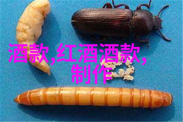 玉米之谜色彩斑斓的品种谱系