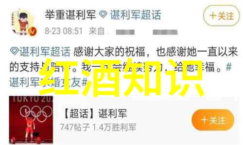 品鉴之旅深入了解红酒国家排名前十的特点