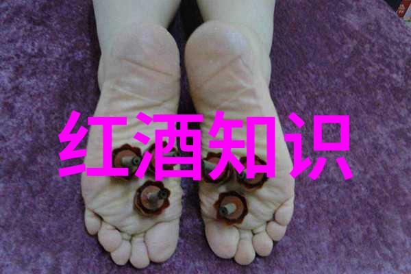 上海周边买房子哪里好-探索金山松江与青浦上海周边房地产市场的新热点