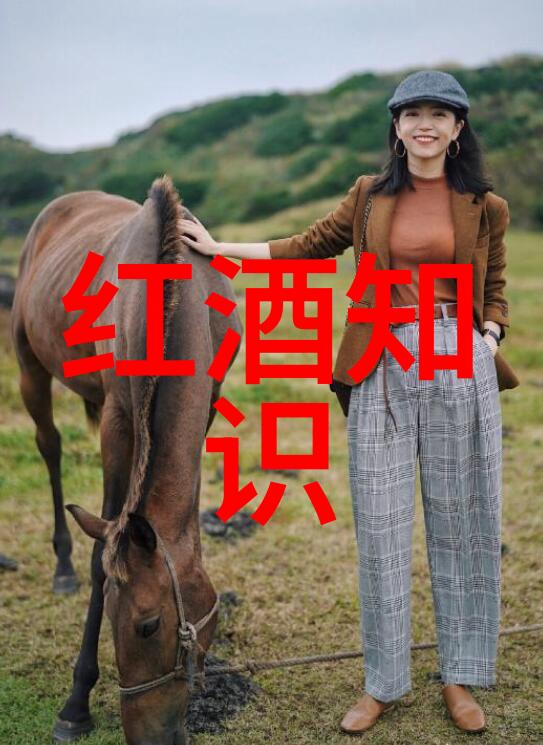 葡萄牙梦想移民填问卷赚钱app助您一臂之力