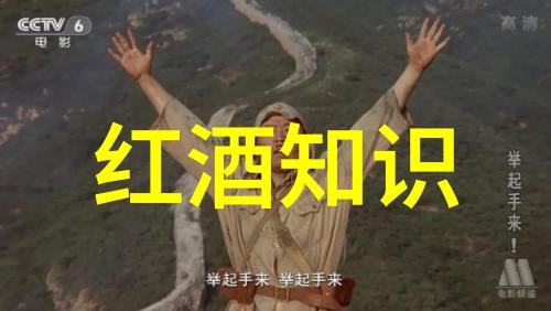 圆明园从古代皇家花园到现代笑谈的历史长廊