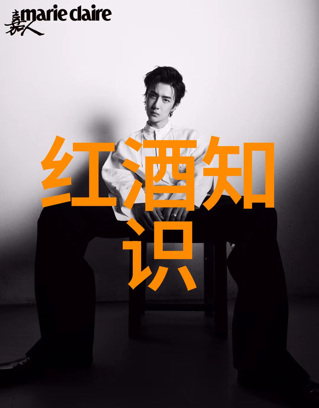 酒香中的文化探秘揭开葡萄酒之谜