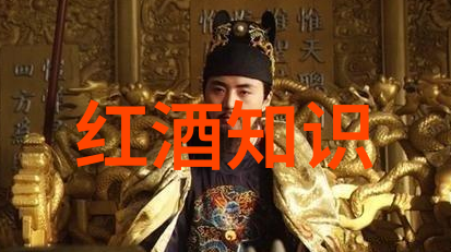 高效解答权威问答平台的智慧之光