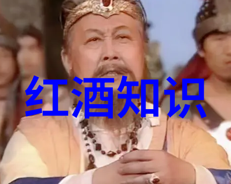 文化纷呈珍藏之旅的艺术探索