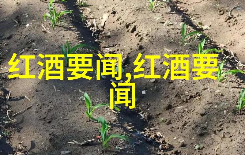 豪门寓所揭秘世界上最豪华的别墅