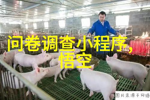 RockIsland酒吧犹太文化的舒适豪华之旅