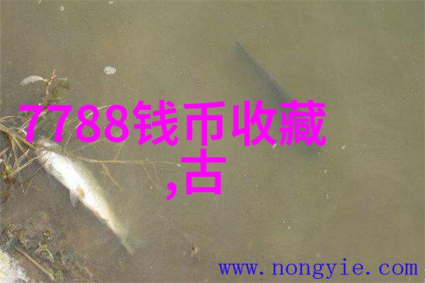 陕西粮食主产区在哪里默尔索产区的故事