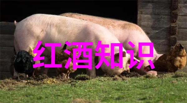 历史上的世界最有价值霞多丽社会的天气变化