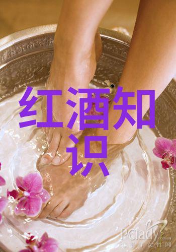 香莱酒庄中世纪庄园制度的醇酒味道