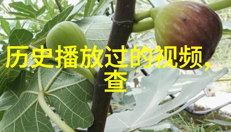 中国最豪华顶级大别墅豪华住宅超级豪宅奢侈生活