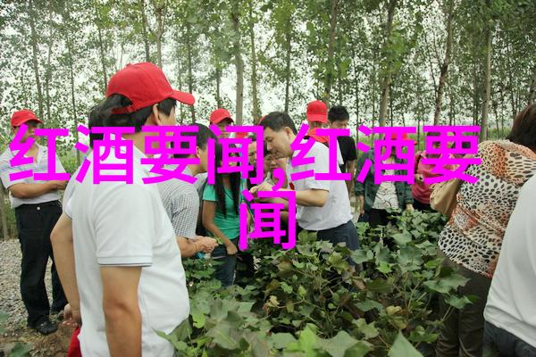 在怀帕拉山丘酒庄的自然景观中农村烧柴火为酿酒设备提供温暖的能量