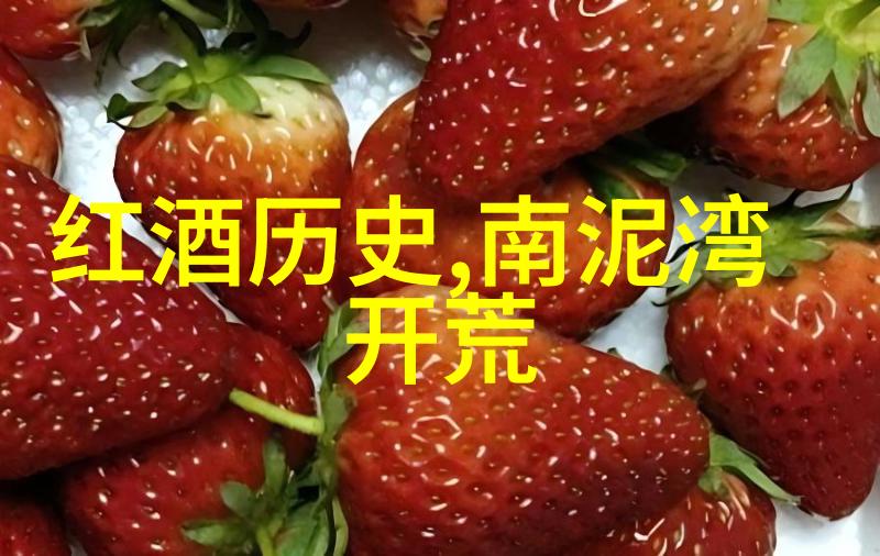 玫瑰香浓尝尽有史以来最佳素食与红酒肉汁之美味盛宴