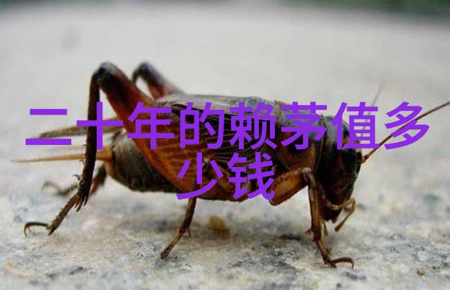 在这个数字时代我们是否已经找到了中国收藏网的正确路径