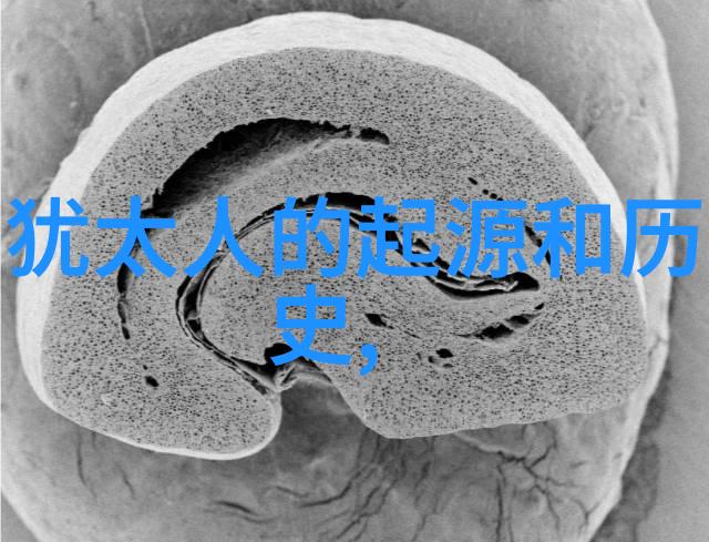 智慧相机百度答题拍照新体验