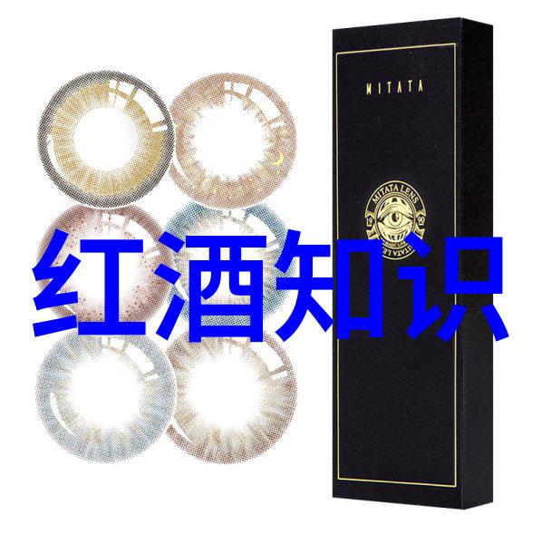 从镜子里看我怎么C你的小说 - 虚拟的笔触一场反思与创作的对话