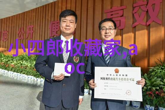 秘密花园中的阴影揭开美国十大庄园豪宅的神秘面纱