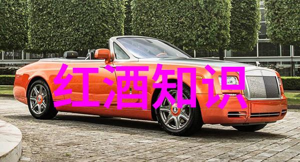 小鸡庄园的神秘日记8月20日正确答案究竟是什么