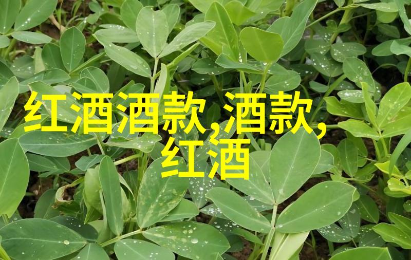 在上海外围寻找梦想屋房价最高与最低对比分析