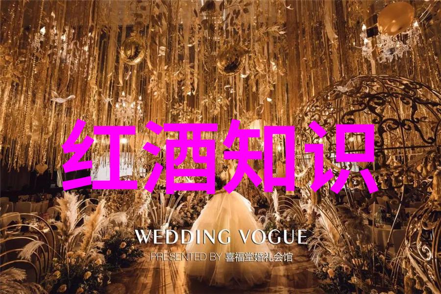 英语课代表的视频教学实录