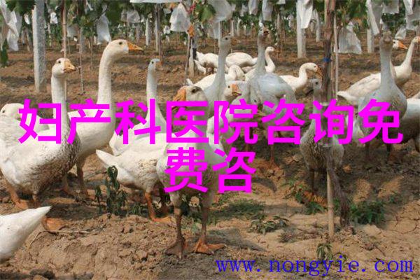 名人简介我来告诉你关于李雷的故事
