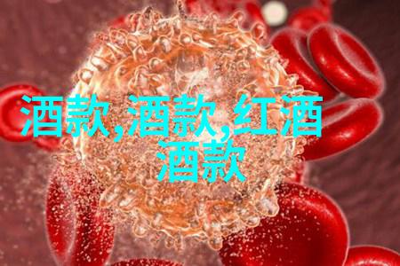 上海周边房价最低的地带探秘揭秘那些隐藏的宝藏之地