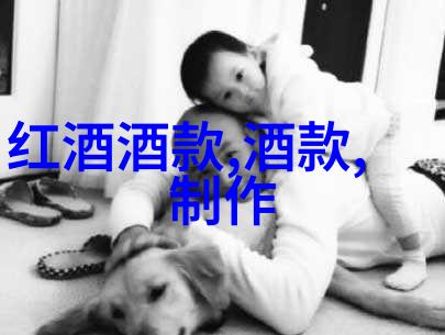 百花齐放全球各地的玫瑰花名称大全