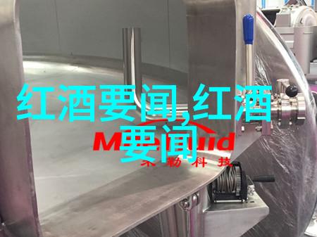 大叔的惊讶奶奶里面的未知访客