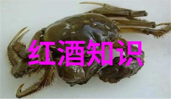 趣味有奖问答知识大挑战