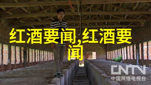 品味红酒文化金沙滩啤酒城遇上正宗茶品王室葡萄酒逸酒茶堂的奇妙对话