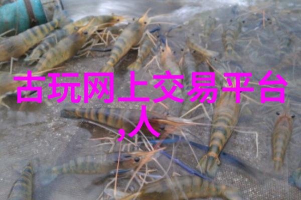双男主的灌溉系统