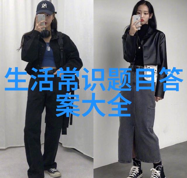 猫种类排名揭秘全球最受欢迎的宠物亲友