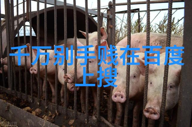 开心庄园安纳普尔纳酒庄提现如流水
