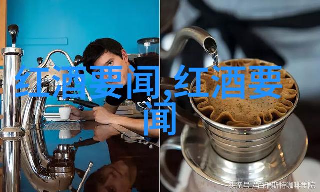 波尔多的秘密一个关于葡萄爱情与遗产的故事