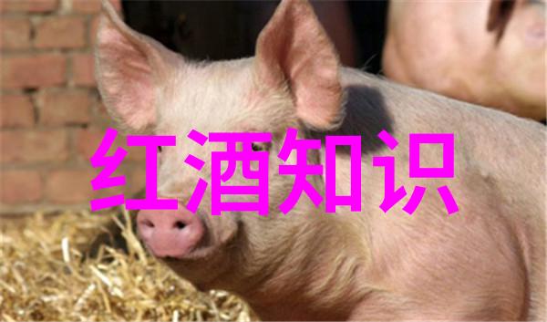 色彩飞扬的幻想面具卡通人物头像图片的艺术探索