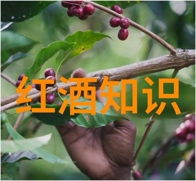 月光下的诊疗室免费问诊妇科的隐秘篇章
