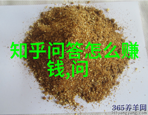 中国历史 - 铭记伟绩十位中国之父的光辉足迹