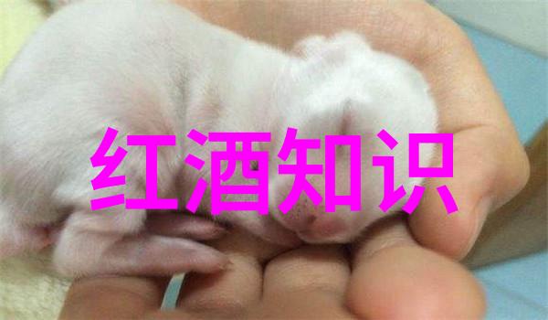 百度同城问答入口指南快速找到工作与生活的答案