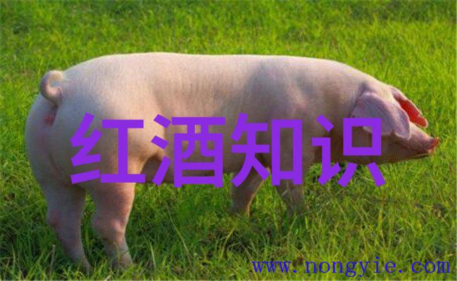 健康生活 女人喝红酒的好处 - 醉美容益心脏解锁红酒之秘密