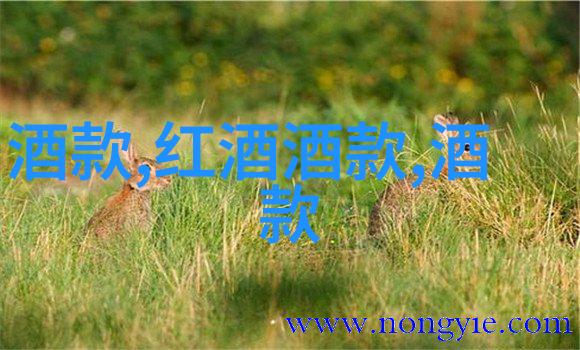 360问答系统的智能化升级与用户体验改善策略研究