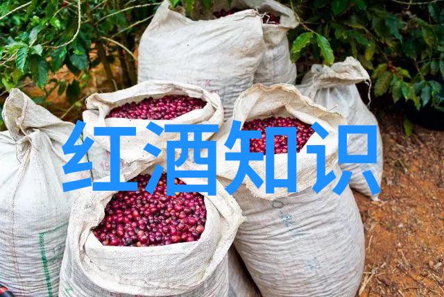 精确度量快乐无限完善一款实用性的鸡尾酒测量工具模块